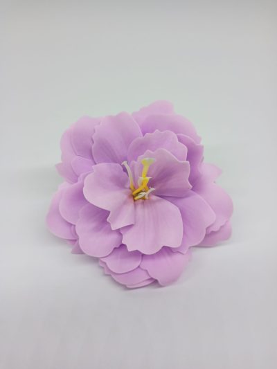 Azalia mydlana lawendowa (1szt.)