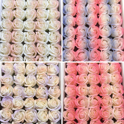 Róża gradient - mix