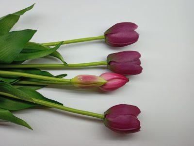 Tulipany Silikonowe Ciemno fioletowy - Pęczek po 5 szt. - obrazek 2
