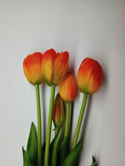 Tulipany Silikonowe Pomarańczowy - Pęczek po 5 szt. - obrazek 3