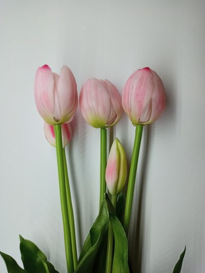 Tulipany Silikonowe blado różowe pęczek (5 szt.) - obrazek 2