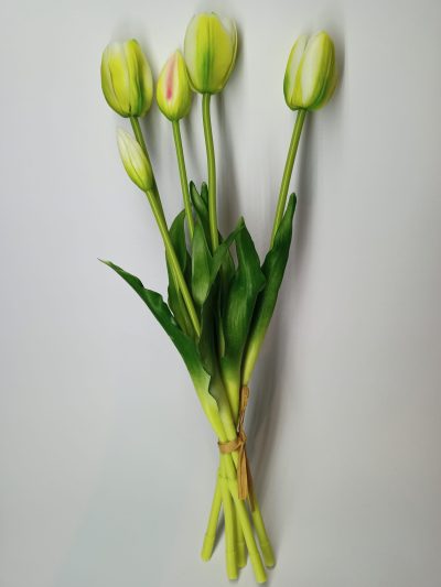 Tulipany Silikonowe krem zielony (5 szt.)
