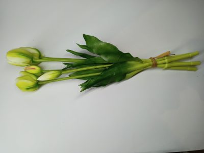 Tulipany Silikonowe krem zielony (5 szt.) - obrazek 3
