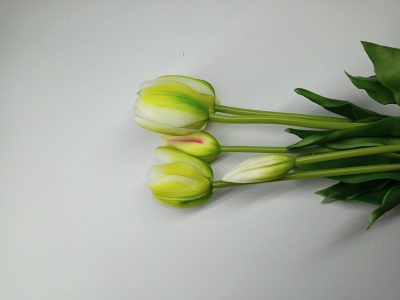Tulipany Silikonowe krem zielony (5 szt.) - obrazek 2
