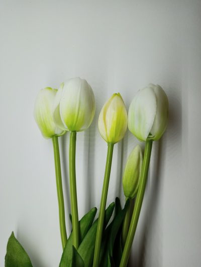 Tulipany Silikonowe Biały - Pęczek po 5 szt. - obrazek 2