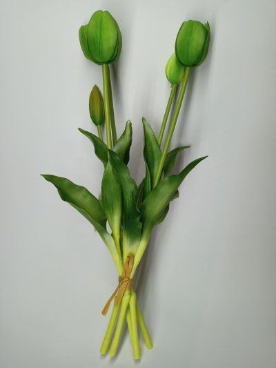 Tulipany Silikonowe Zielony - Pęczek po 5 szt.