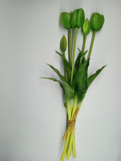 Tulipany Silikonowe Zielony - Pęczek po 5 szt. - obrazek 2