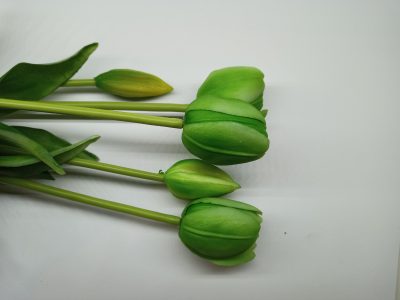 Tulipany Silikonowe Zielony - Pęczek po 5 szt. - obrazek 3