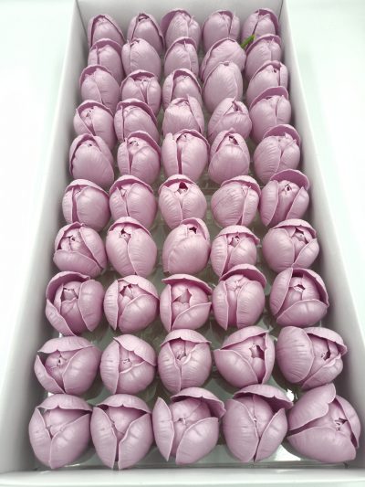 Tulipan Mydlany - Pudrowy Fiolet (50 szt.)