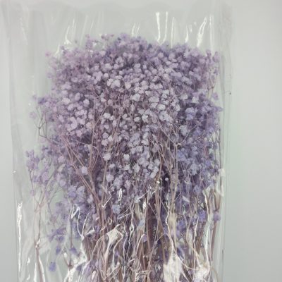 Gipsówka suszona, stabilizowana - Lila
