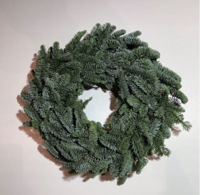 Wianek z jodły nobilis świąteczny żywy 35-40 cm